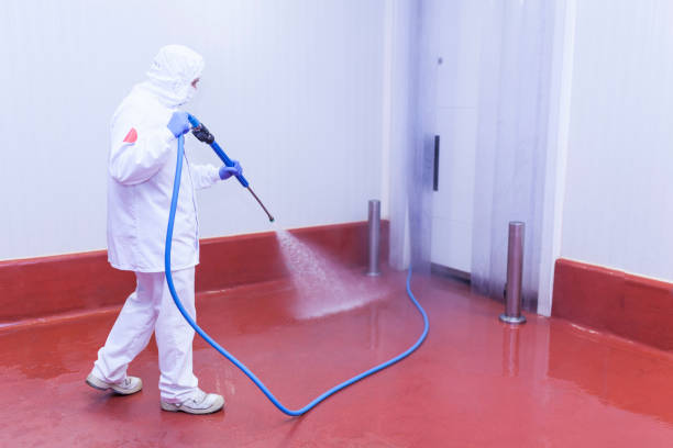 Best Oil Spill Cleanup  in Quitman, GA